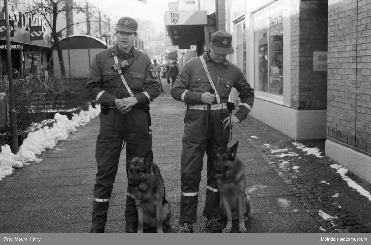 Poliser med hundar i Mölndals köpcentrum, år 1985. "Moltas med sin husse Harry Nilsson och Accent med Ingvar Lauri på promenad."

För mer information om bilden se under tilläggsinformation.