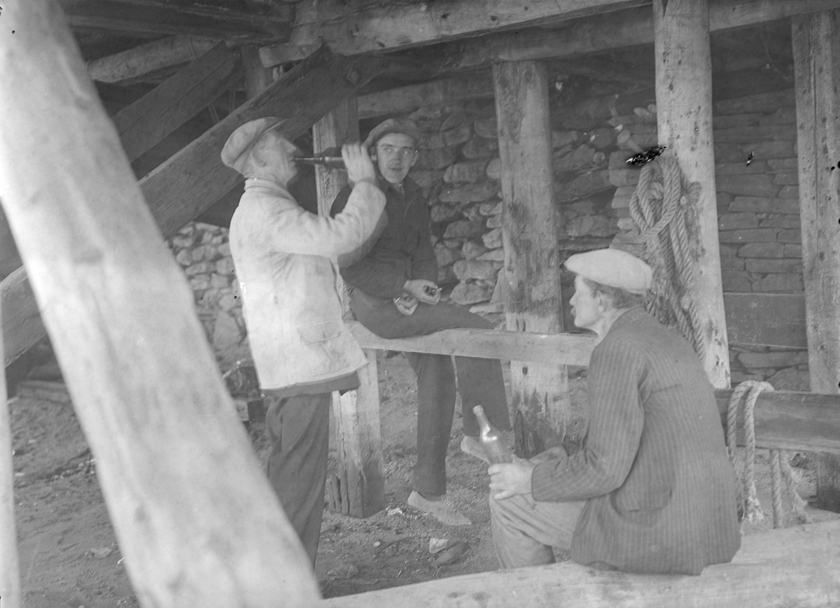 Tre menn drikker brennevin under ei brygge