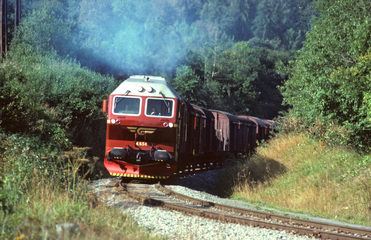 NSB godstog 5793, Trondheim - Bodø, med dieselelektrisk lokomotiv Di 4 654, legger i vei på sin 17 timers ferd ut fra Marienborg stasjon og over Stavne - Leangenbanen.