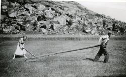 Slåtton på gården Hilstad