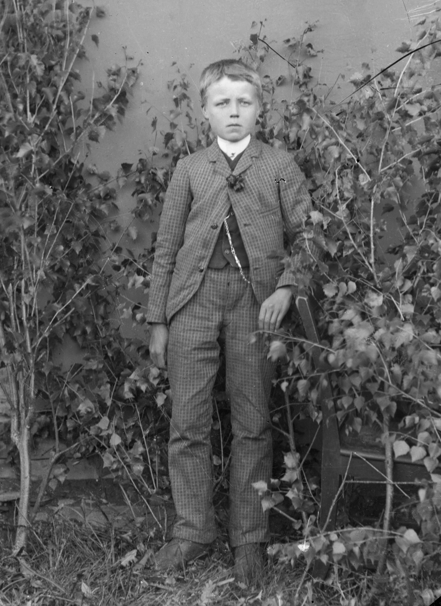 Gutt i rutete dress, stående ved stol og mellom bjørkekvister. Lerret på tømmervegg
