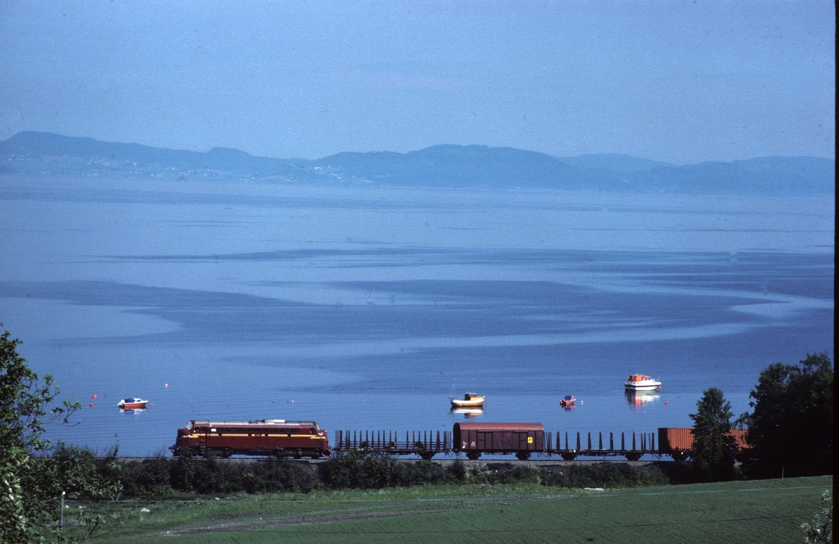 NSB godstog på vei mot Trondheim ved Vikhamar ved Trondheimsfjorden med dieselelektrisk lokomotiv type Di 3.