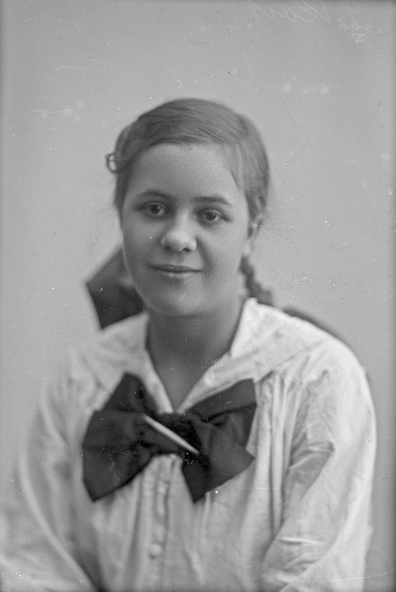 Portrett bestilt av Ingrid Aanesen.