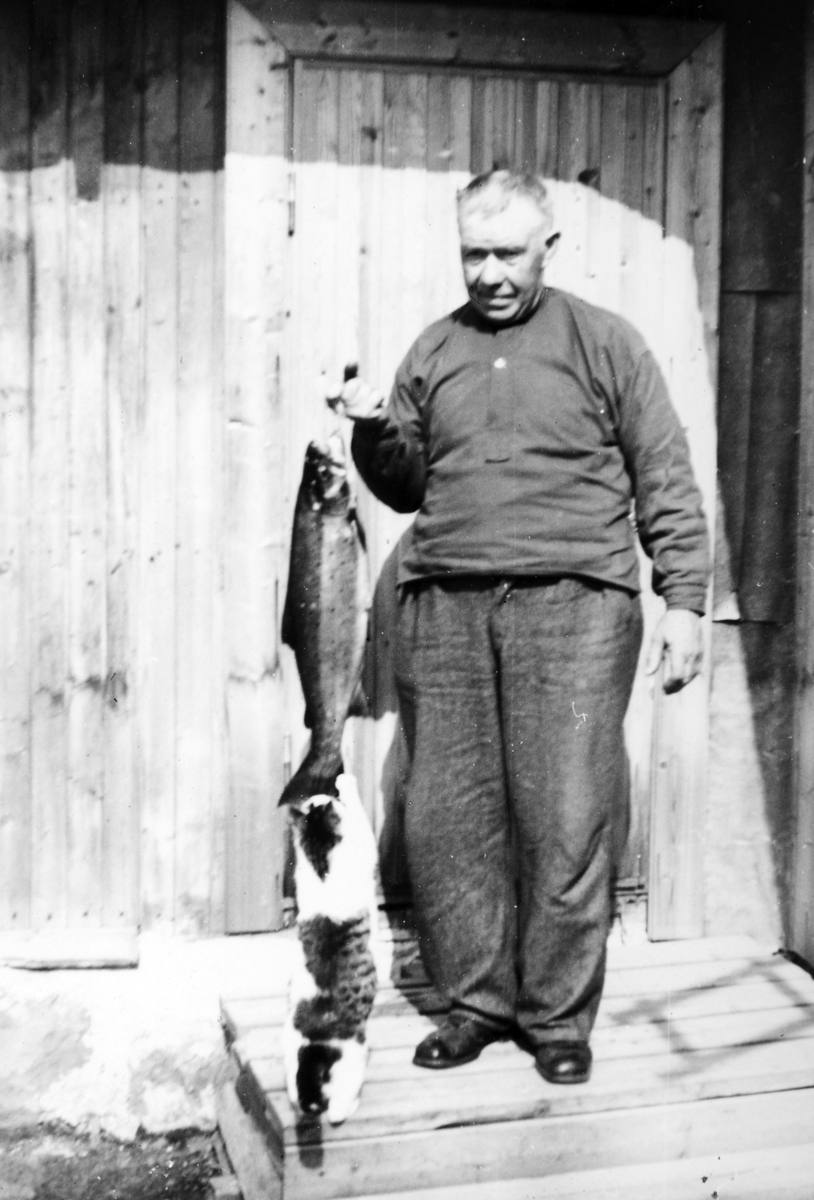 Mjøsfisker Johan Olsen 1889-1971. Mjøsørret.