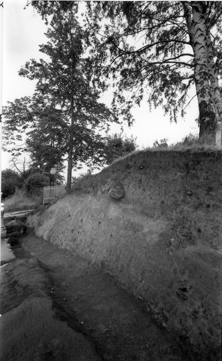 Arkeologisk utgraving av Borgs byvoll mot St. Mariegate i Sarpsborg.
