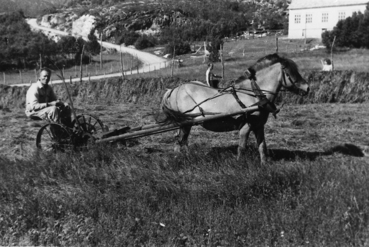 Bonde med hest og slåmaskin i Grønvika, Å i Senja,Tranøy 1944