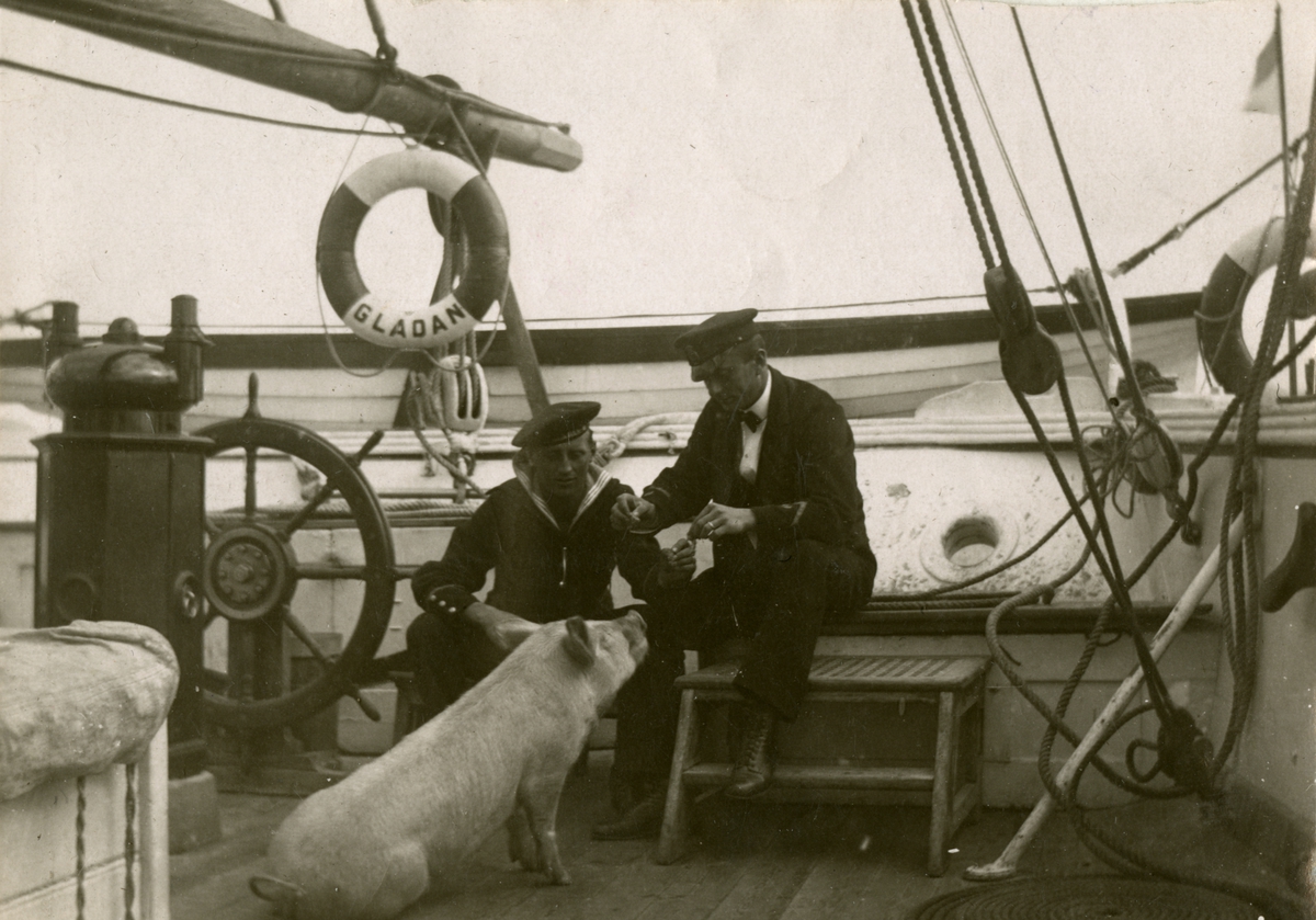 Sjömän samt en gris ombord segelfartyget GLADAN. Gustaf Andersson sitter till vänster.