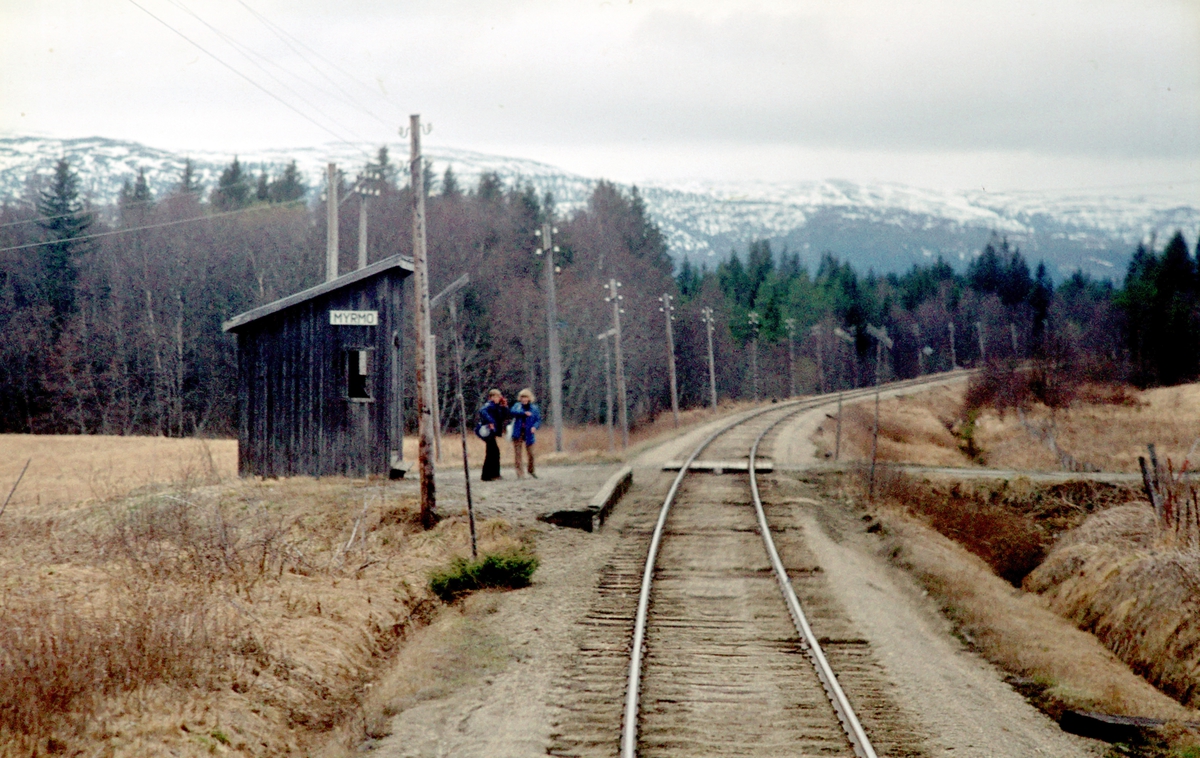 Myrmo holdeplass på Namsoslinjen. Sett fra tog 483 (Grong - Namsos). Namsoslinja.