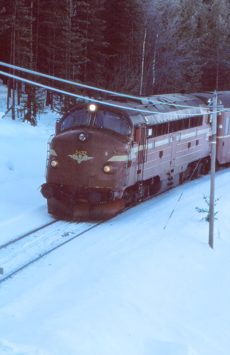 Persontog på Valdresbanen kjører inn på Trevatn holdeplass.