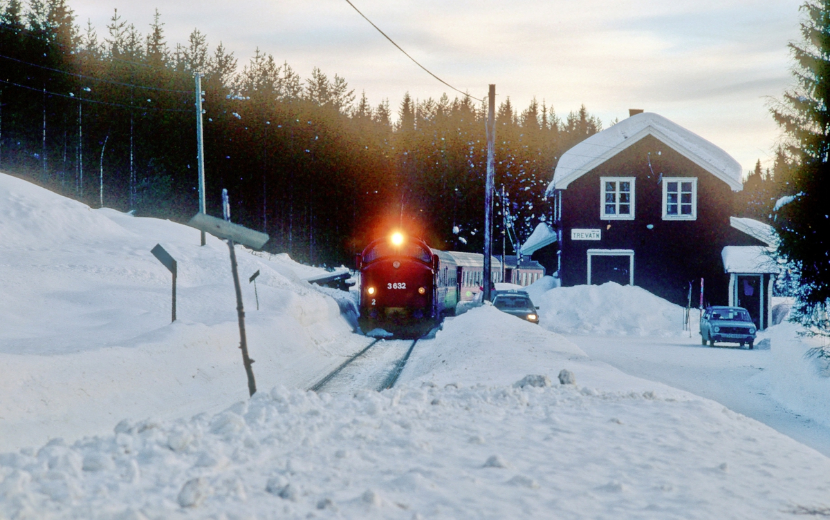 Persontog 284 (Fagernes - Oslo S) ankommer Trevatn en snørik vinterdag.