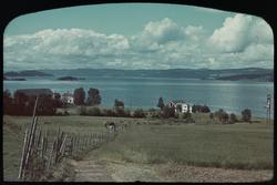 Utstikt fra Nesset utover Trondheimsfjorden.