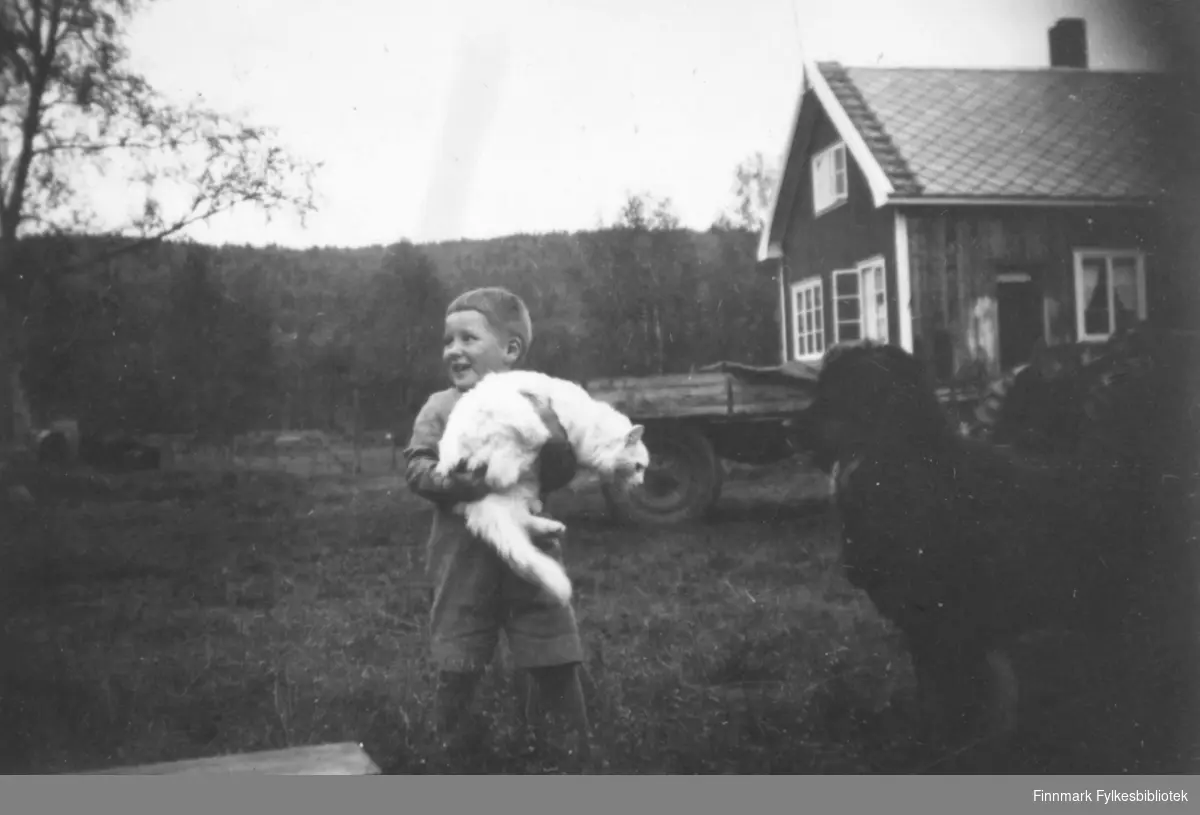 Ole Arve Wisløff som liten gutt. Han holder en hvit katt, trolig familiens. Ved siden av står Kristian Wisløffs hund. Bildet ser ut til å være tatt utenfor deres hjem. I bakgrunnen ser vi deres bolig, en traktor med en tilhenger og tett skog. Ca.1945-50.
