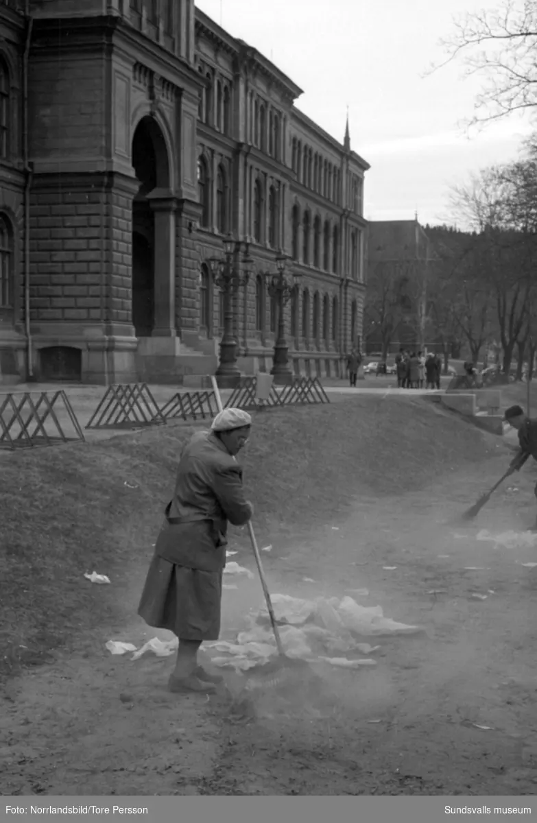 Studentexamen i Sundsvall 1961. Efter festligheterna får stadens renhållningsarbetare mycket att göra.