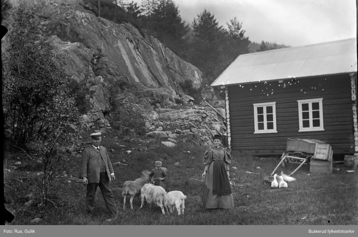 Hotellbestyrer Cristensen og kona med sønnen Trygve Tinnoset Telemark 1896
Trygve med gjedebukken
geiter
