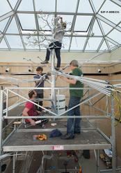 Fra arbeidet med utstillingsprosjektet «Det fantastiske tree