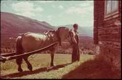 Fjording og en mann på en fjellgård i Oppdal.