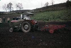 Traktor harver med fjærharv, antagelig på en slags demonstra