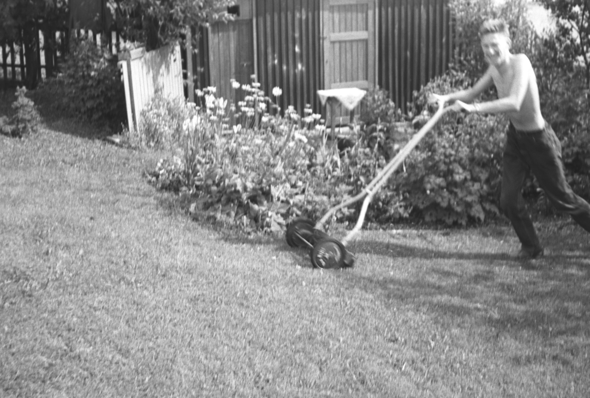 Tor Hauge klipper plenen i familiens hage i Nyborgveien i Vadsø.
