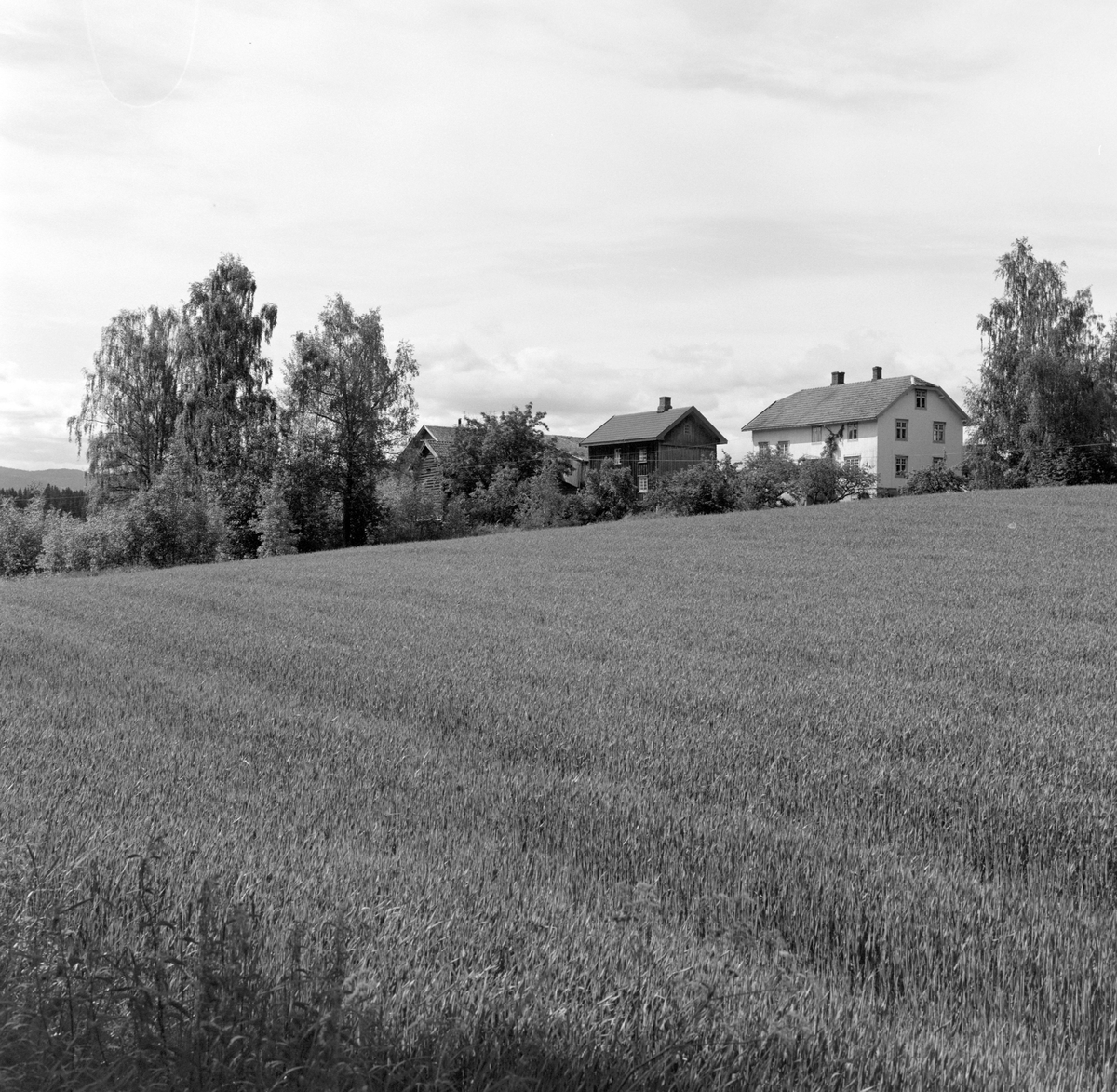 Sørum gård, Stange. 
Gnr.131 , bnr.1.