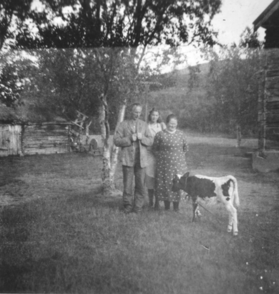 "Aina Marie Aronsen i Luftjok med besøkende og kalven. Bildet er tatt ca. 1935. Gjestfriheten var spesielt stor hos Aronsen." Tømmerhuset til høyre huset også Luftjok skole på den tiden.
