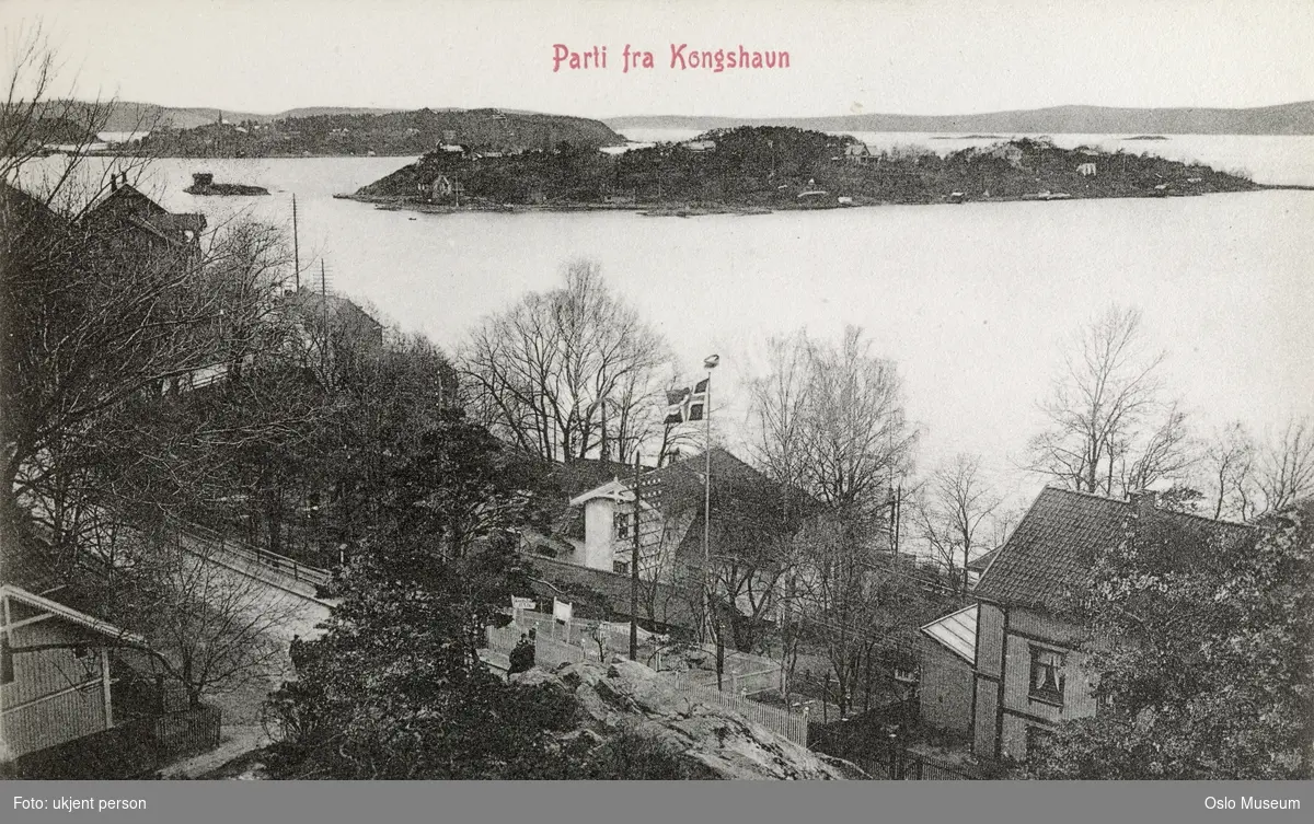 Kongshavn bad, bebyggelse, utsikt, fjord, øy