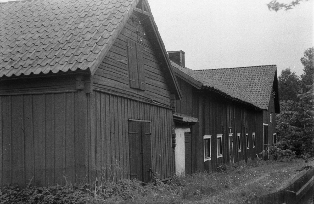 Lada, stall, lider, fähus,kylrum och ladugård, Skuttunge by 5:1, Skuttunge socken, Uppland 1976