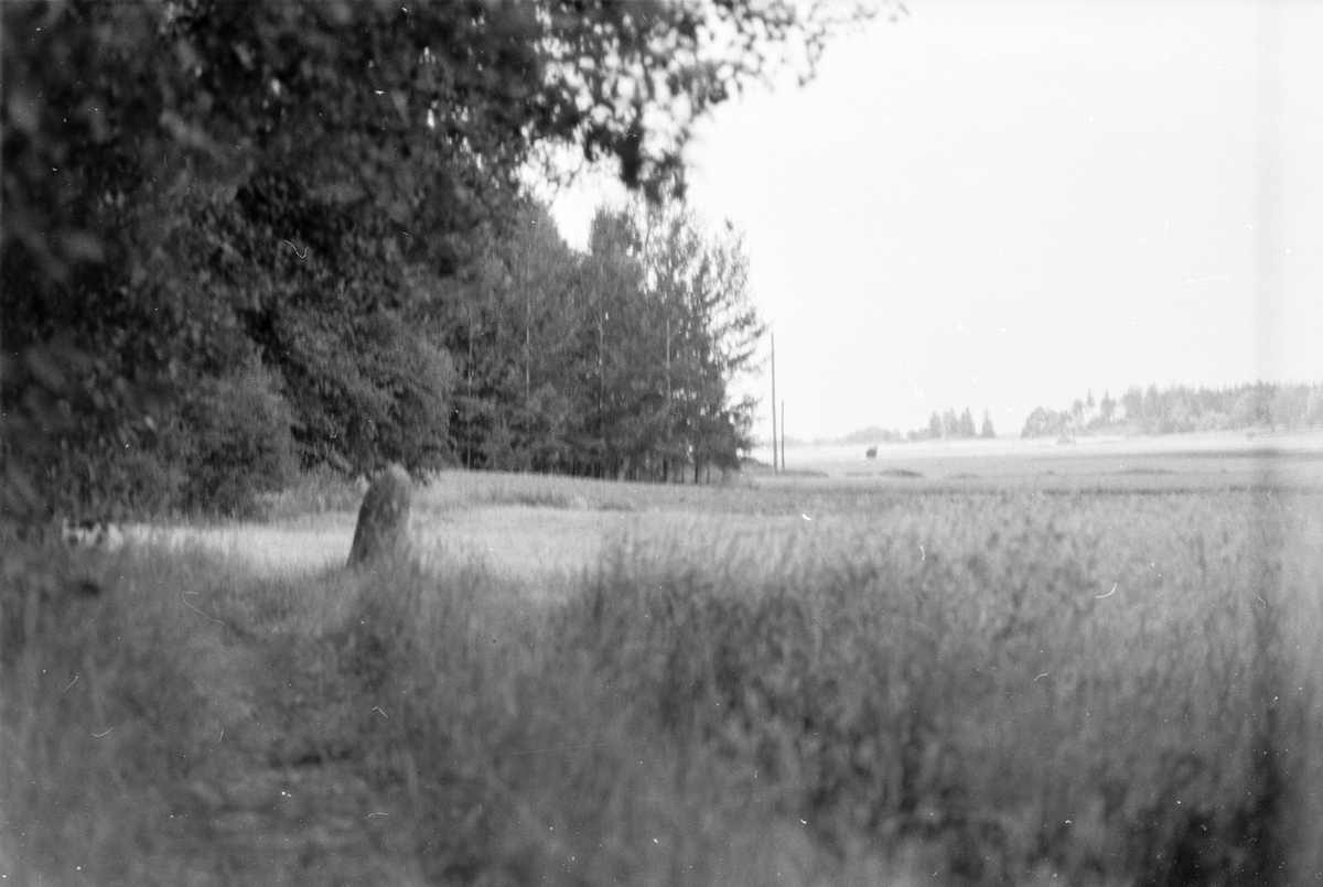 Runsten, Läby socken, Uppland 1975