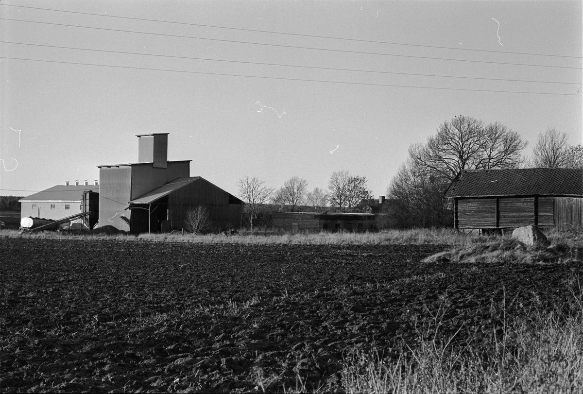 Vy över Ångelsta 4:1, Skogs-Tibble socken, Uppland 1985