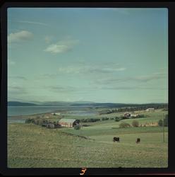 Fra Johnsborgområdet.