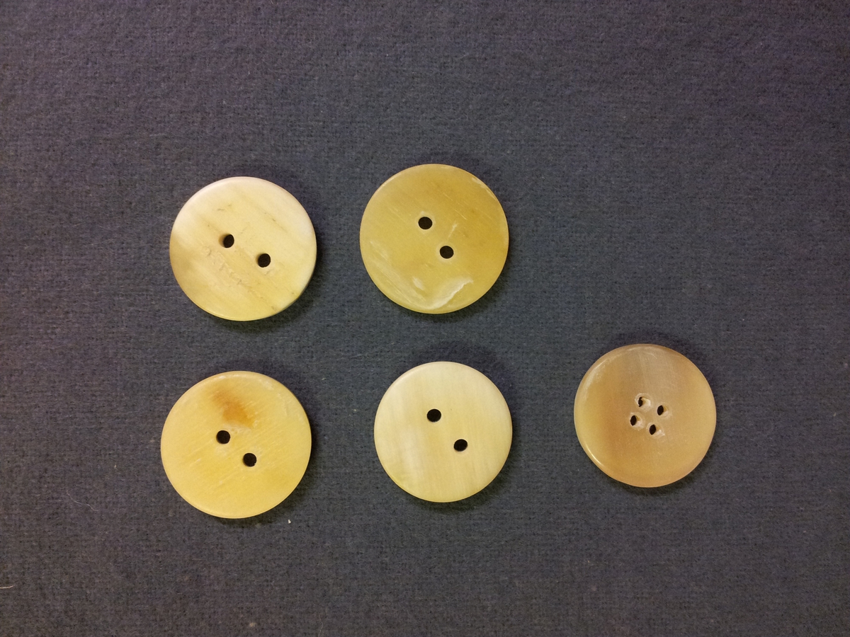 Fem stycken runda, släta hornknappar i ganska ljusbeige - vitaktig färgskala. Fyra av dem har två borrade hål i mitten, den sista har fyra hål.