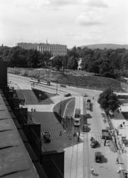 Abelhaugen med Slottet og Slottsparken. 1945 - 1955.