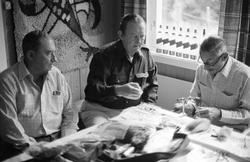 Fluebinding i interiør.