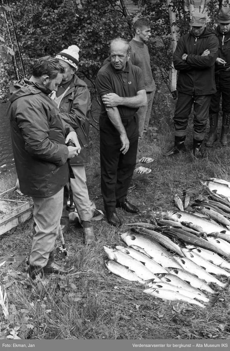 Fangst med personer.

Fotografert 1971.

Fotoserie: Laksefiske i Altaelva i perioden 1970-1988 (av Jan Ekman).
