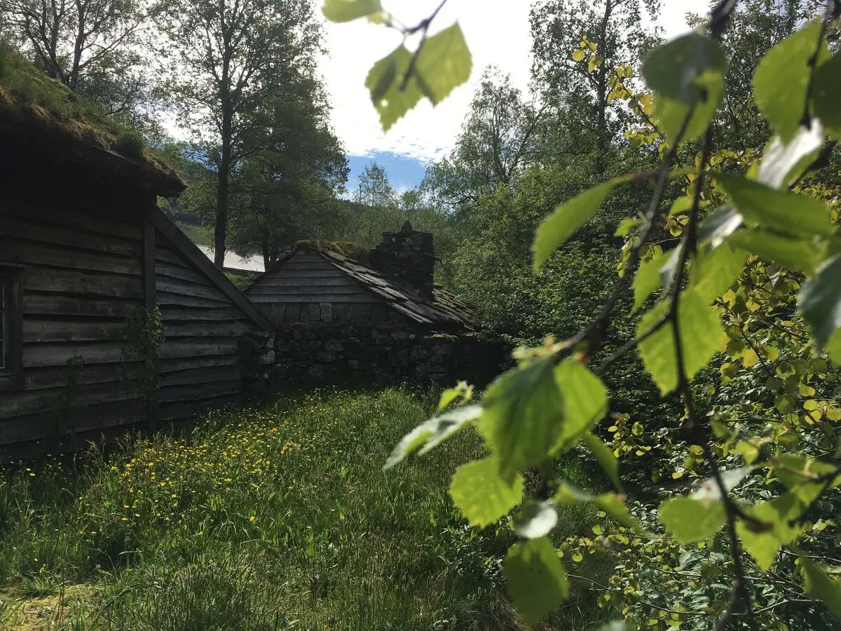 museumsbygningar, og bjørkeblad på høgre sida