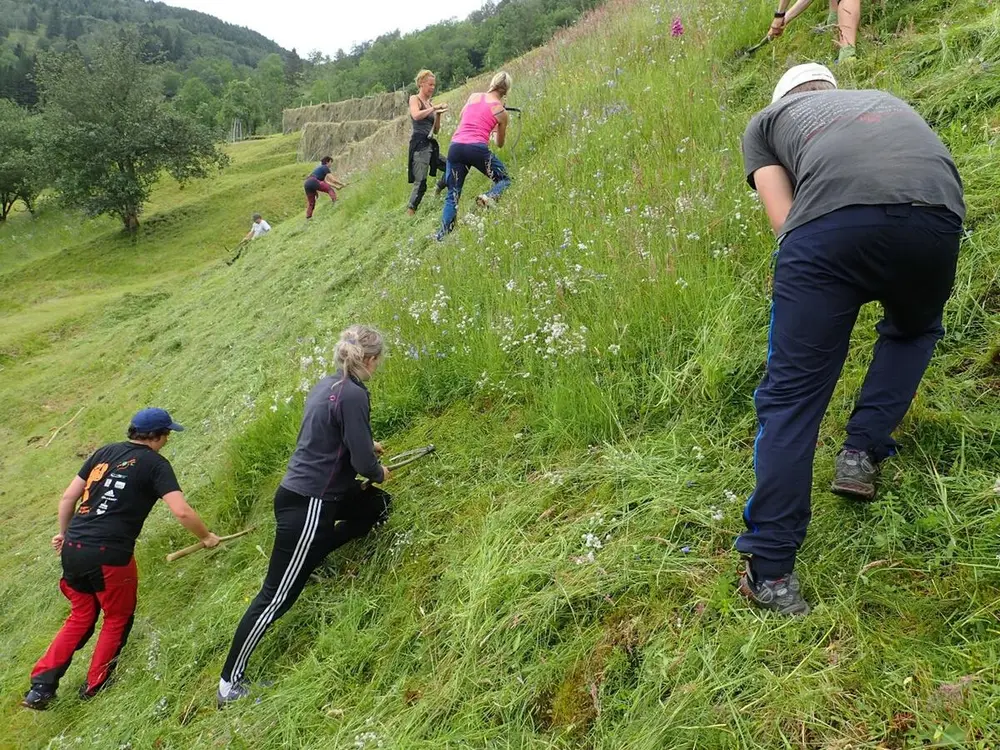 slåing av gras i bratt bakke