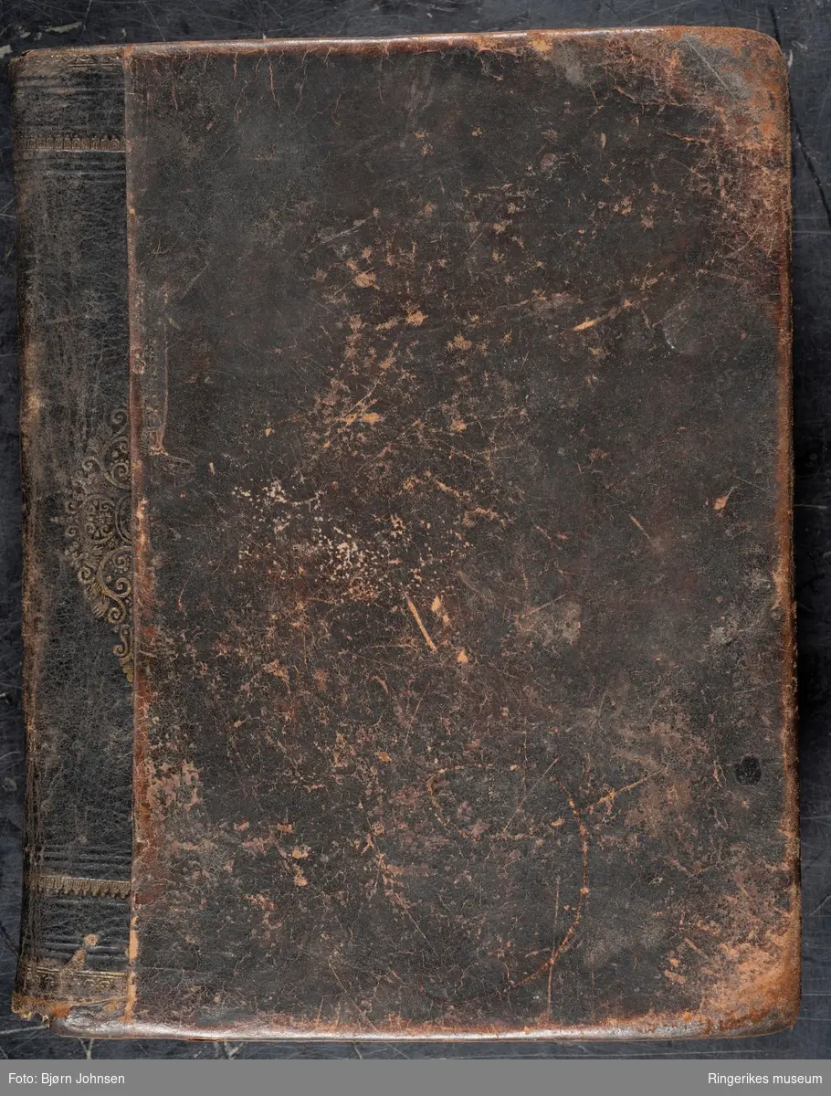 Dannemark og Norges Beskrivelse, skrevet av Ludvig Holberg og trykket i København i 1729. Inneholder 742 sider.