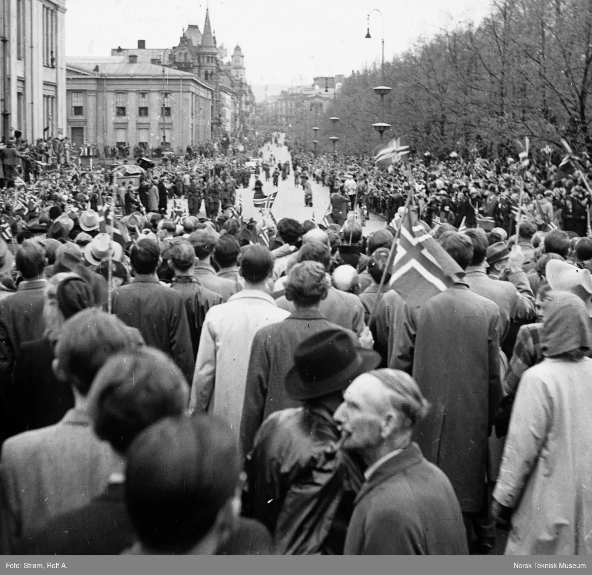 Folkemengde fra Slottsplassen og nedover Karl Johan, ser på opptog med militære, Oslo, mai 1945,