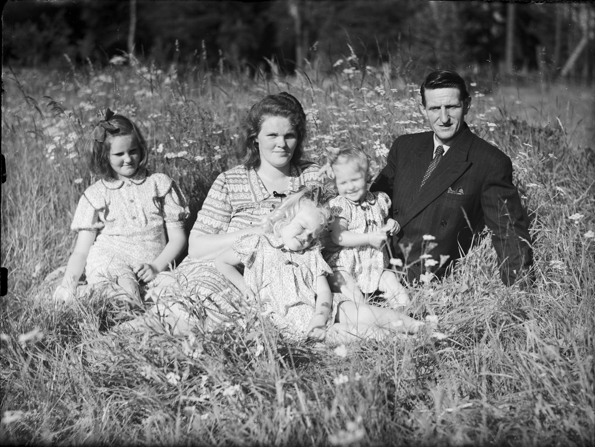 Familj i gröngräset, Östhammar, Uppland