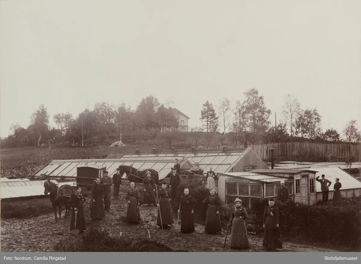 Kvinner, hester og drivhus på Heimdal gartneri.