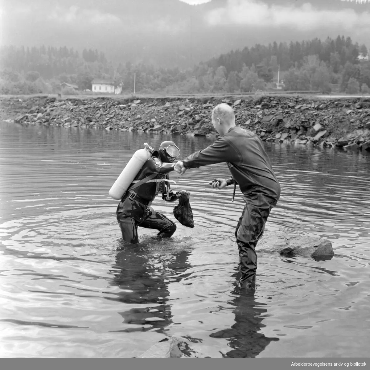 Dykkerne Narve Andersen og Finn Kornfeldt fra Oslo fisker kreps i Steinsfjorden. August 1966.