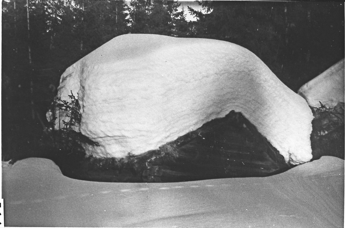 Vedskjul og sommerfjøs på Kanelessetra, dekket av snø. April 1951.