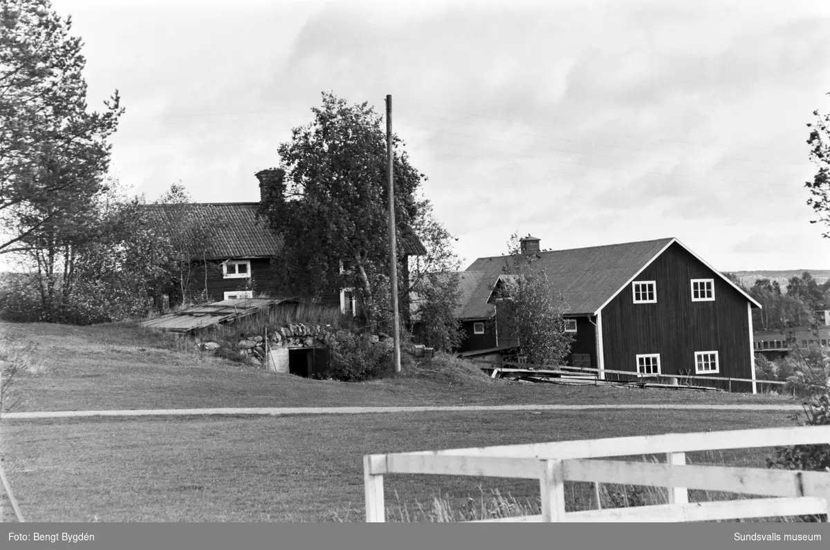 Lantgård i Sköle by i Matfors, bostad och ekonomibyggnader. Skölevägen 23.