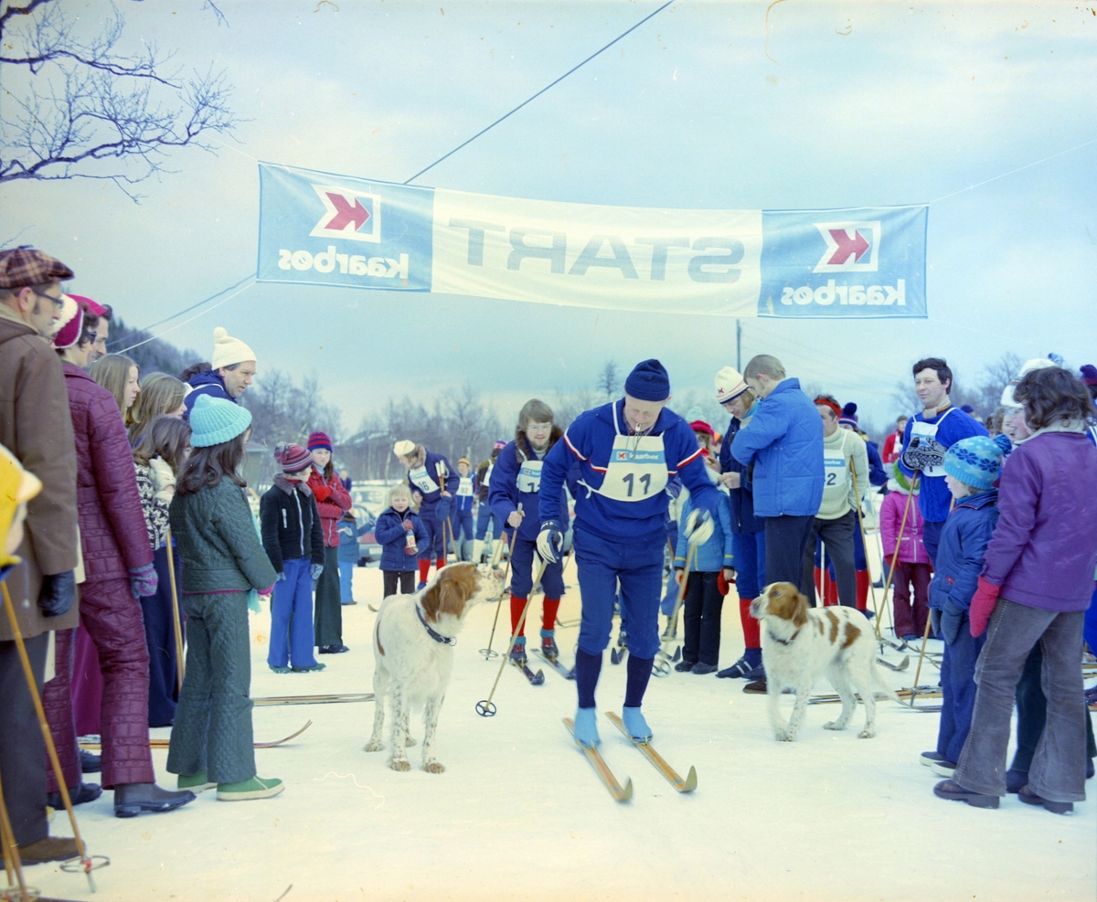 Skiløpere, tilskuere og hunder i startområdet til et skirenn.