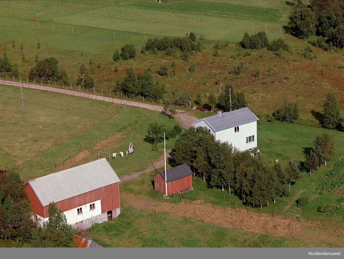 flyfoto av eiendommen Furulund, eier: Per Martin Stormo,Reipå gutt på sykkel bak huset