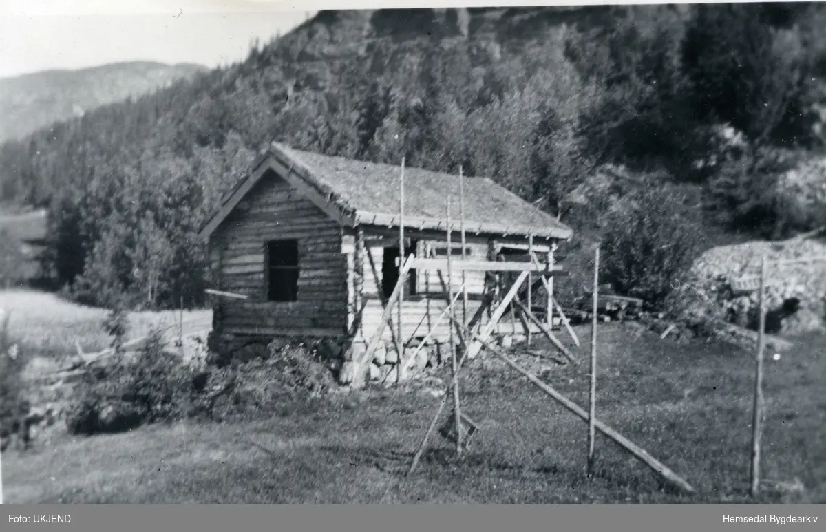 Bygging av hytte, henta frå Trøymsåne ca 1952