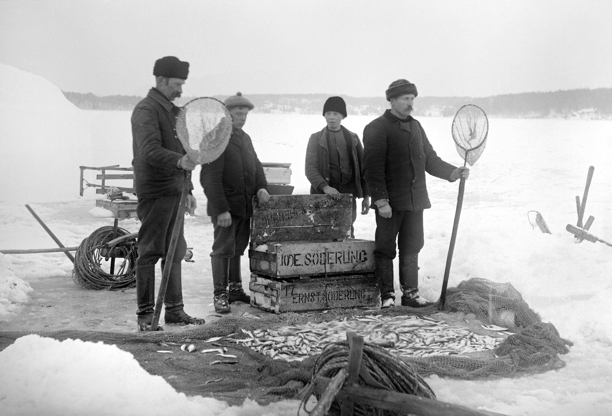 Strömmingsfiske i närheten av ön Röskär i Lindersfjärden, Sankt Annas skärgård. En fiskare Andersson bosatt i Aspöja ska enligt uppgift vara en av dessa män.