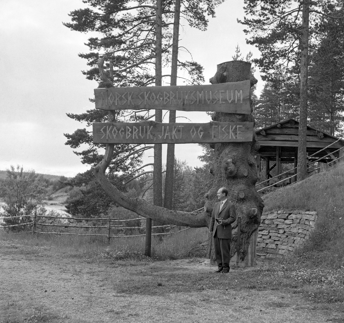 Skilt som viste vegen fra Glomdalsmuseet til Norsk Skogbruksmuseum i Elverum i 1960-åra. De to museene er nære naboer, men Prestfossen i Glomma skiller dem. Skiltet ble plassert på Glomdalsmuseets areal, like ved hengebrua, som fra 1958-59 gjorde det mulig å gå tørrskodd over til Skogbruksmuseets frilftsmuseum på Prestøya. Det ble montert på rotstokken og ei av de kraftige sidegreinene på Skreppåsgrana fra Furnes allmenning. Skreppåsgrana vokste på sæterlykkja til garden Skattum i Vang på Skreppåssætra i Furnes allmenning. Treet skilte seg fra omkringliggende skog ved sine store dimensjoner. I oktober 1962 skal det uvanlige treet ha blitt rammet av en kombinasjon av jordskjelv og vind, slik at rothalsen knakk og stammen ble liggende på sæterlykkja. Treet ble 160 år gammelt og 23, 5 meter høgt. Stammediamteren i brysthøgde var 1,23 meter og volumet med med bark ble beregnet til 9,5 kubikkmeter. Allmenningsledelsen tilbød dette spesielle treet til Norsk Skogbruksmuseum, der konservator Tore Fossum (1926-2017) så at han kunne bruke det som landemerke og vegviser ved hengebrua mellom Glomdalsmuseet og Skogbruksmuseets friluftsmuseum på Prestøya, som den gangen var eneste atkomstveg til museet. Maskinfører Per A. Skyberg (1936-1988) fra Furnes allmenning fikk den vanskelige transportoppgaven. Treet ble lagt på en traktortilhenger med den nevnte greina til værs, og så gjaldt det for Per å finne ei reiserute der han unngikk passasjer under lave bruer. Noen steder greide han å smyge stokken og greina under ledningsspenn på tvers av vegen ved å få gode hjelpere til å heve ledningene ved hjelp av lange rajer. Jernbanebrua på Vestad i Elverum lot seg imidlertid ikke passere, noe som nødvendiggjorde en komplisert omveg. Rotstokken og den intakte greina veid om lag 3 tonn. Den ble reist like ved bruhodet for hengebrua på Glomdalsmuseets grunn med to brede planker med påskriftene «NORSK SKOGBRUKSMUSEUM» og «SKOGBRUK, JAKT, FISKE». Her ser vi en dresskledd Tore Fossum framfor skiltet da det var nytt, i 1964. Vegviseren fikk mindre praktisk betydning etter at museet i midten av 1960-åra fikk nye arealer på østsida av Glomma med innkjøring fra Solørvegen.