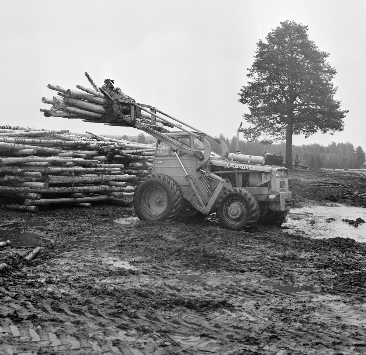 Interntransport av slipvirke ved tømmerterminalen på Vesterhaug i Heradsbygda i Elverum (Hedmark). Fotografiet er antakelig tatt i begynnelsen av 1970-åra, da dette anlegget var nytt. Anleggsmaskinen i forgrunnen er av merket BM Volvo. Bildet viser hvordan føreren "angrep" ei strølagt tømmervelte fra enden med sikte på å løfte vekk en bunt med tømmerstokker. Søla og kjøresporene i forgrunnen tyder på at plassen ikke var tilført drenerende masser som kunne gitt god bæreevne for de tunge anleggsmaskinene i fuktige perioder.