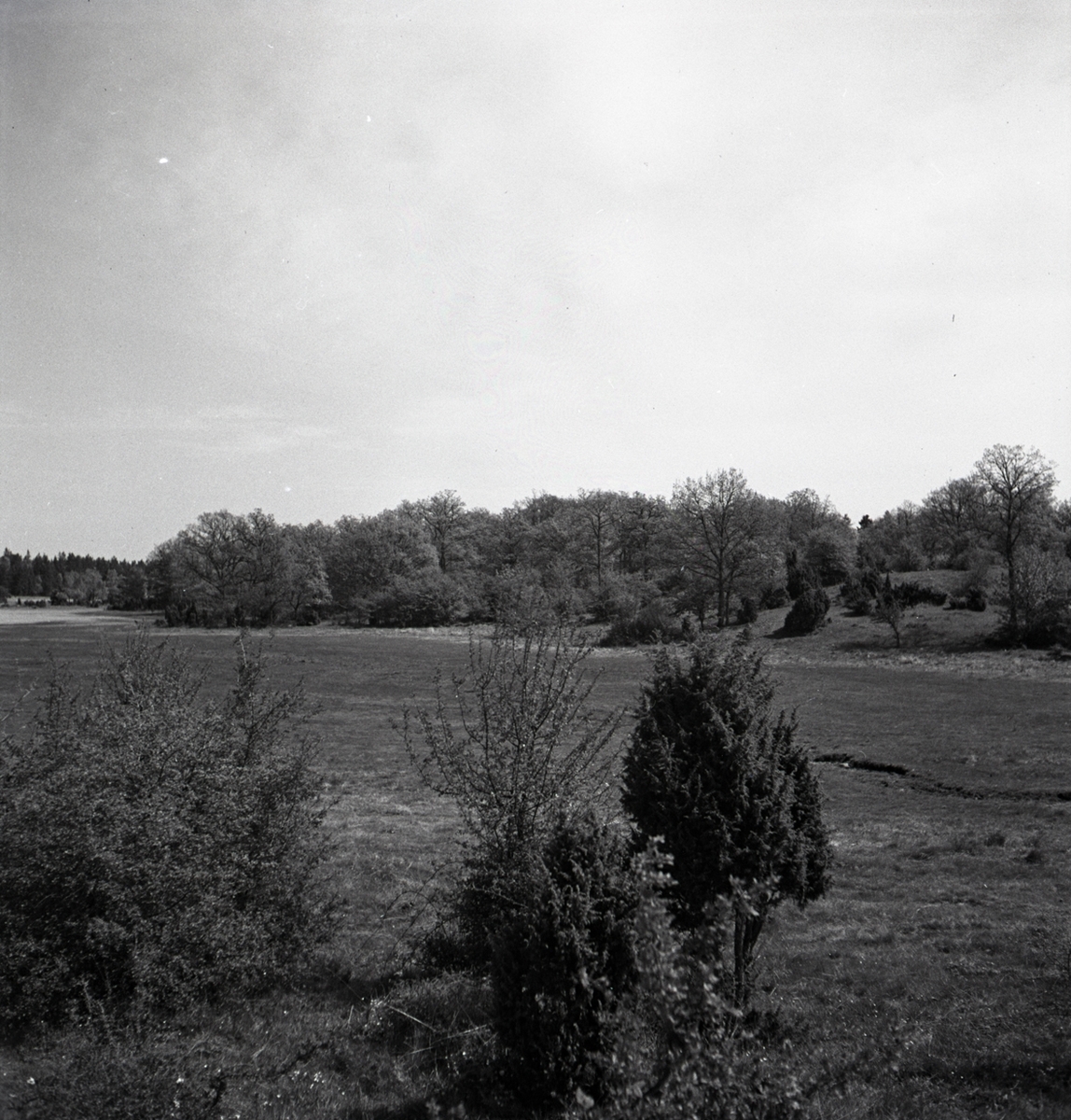 Landskapsbilder från Horsö.