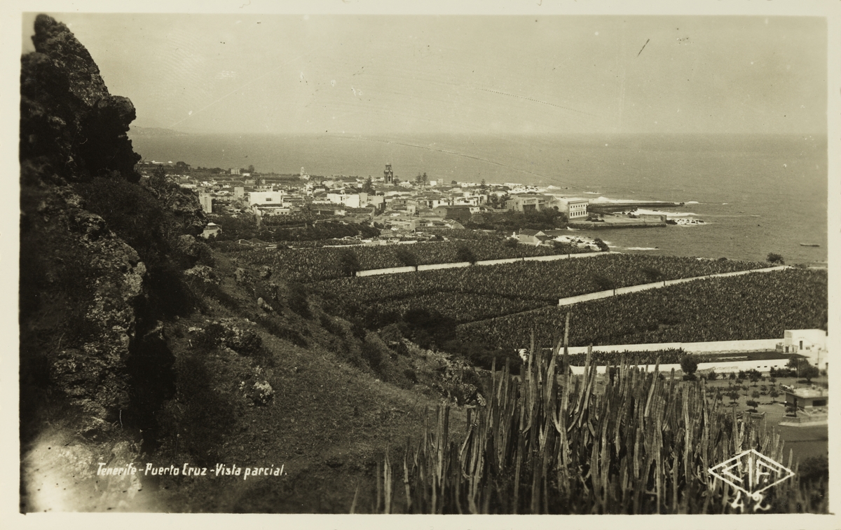 Postkort med utsikt over Puerto de la Cruz på Tenerife. Kjøpt under reise i 1953.